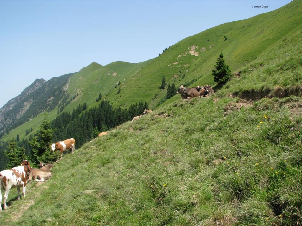 Mountain Hostel Oberstdorf Zewnętrze zdjęcie